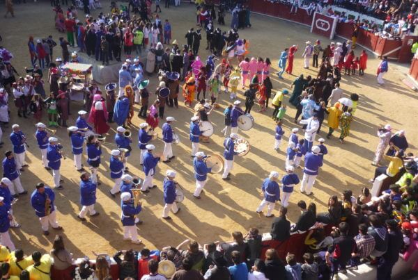 Carnavales de Tolosa 2014