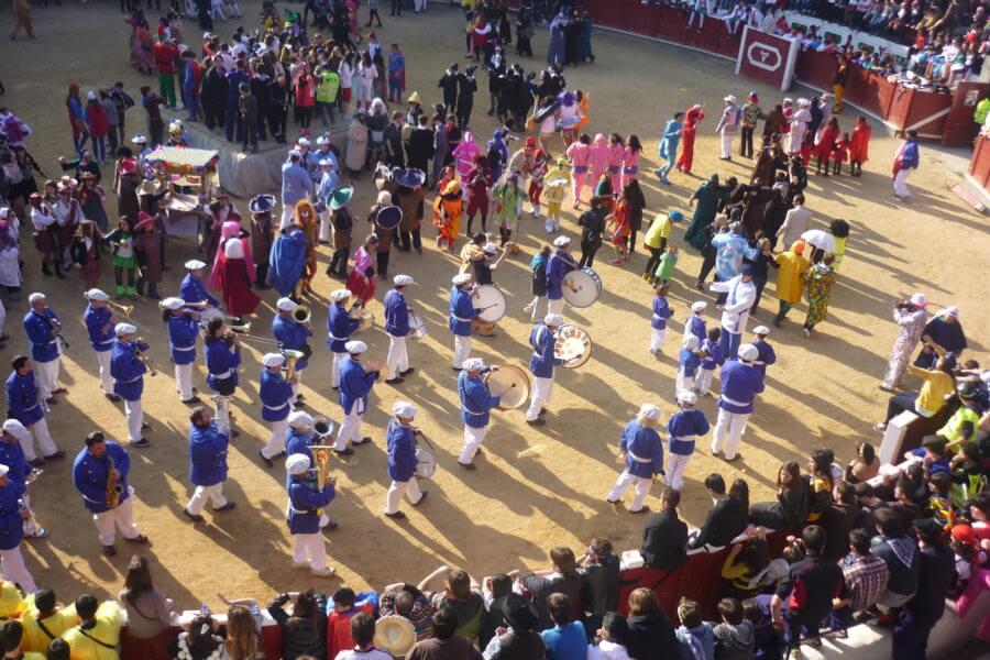 Carnavales de Tolosa 2014