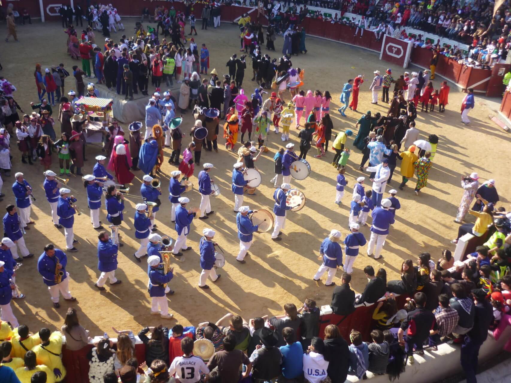 Carnavales de Tolosa 2014