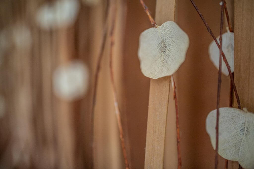 _R5_0863